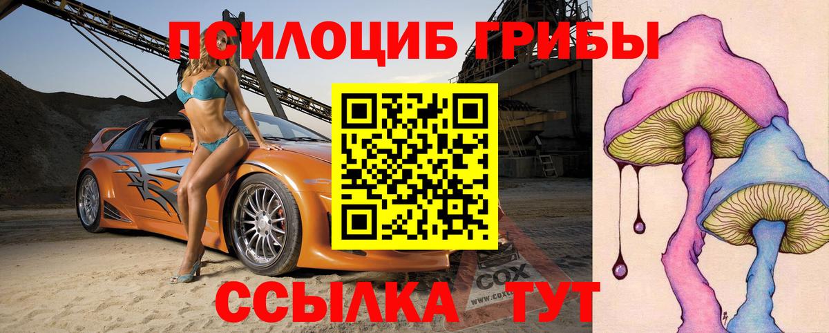Саранск  Галлюциногенные грибы ЛСД  Вход с VPN  Псилоцибиновые грибы ЛСД 